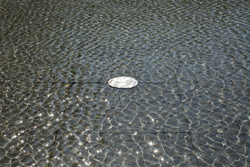Wasserbecken im Sommerpark