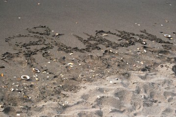 Déclaration dans le sable