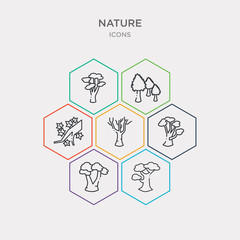 simple set of black birch tree, gray birch tree, paper birch tree, the maples icons, contains such as icons maple silver maple sugar maple and more. 64x64 pixel perfect. infographics vector