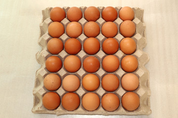 eggs in box
