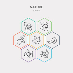 simple set of cuspicate, birch leaf, orange leaf, grape leaf icons, contains such as icons plum linden poplar and more. 64x64 pixel perfect. infographics vector