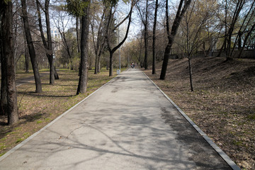city park, spring square without people, green trees