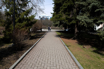 city park, spring square without people, green trees