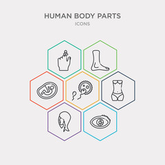 simple set of eye variant with enlarged pupil, face of a woman, female hips and waist, fertilization icons, contains such as icons fetus in an uterus, foot side view, hand finger with a ribbon and