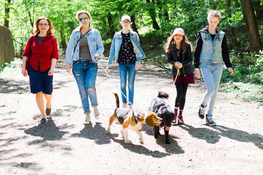 Mothers with daughters walking with two dogs on leashes on forest road