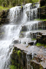 scenic shot of waterfall in spring