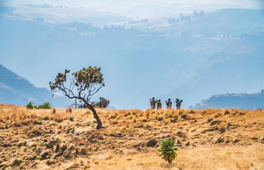 Local scouts walking throug fantastic landscape in the Simien mountains