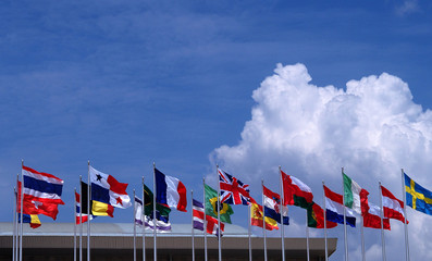 National flag blue sky background .