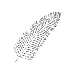 Continuous one line fern, exotic tropical plant