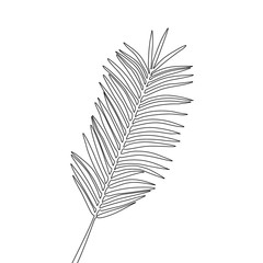 Continuous one line areca leaf, exotic tropical plant