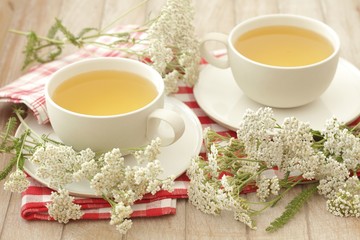 Obraz na płótnie Canvas Yarrow tea (Achillea millefolium)