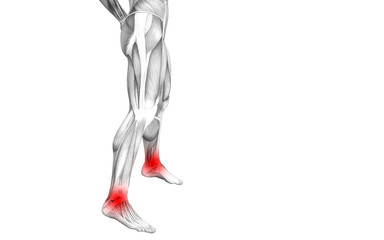 Conceptual ankle human anatomy with red hot spot inflammation or articular joint pain for leg health care therapy or sport muscle concepts. 3D illustration man arthritis or bone osteoporosis disease