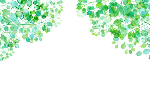 木漏れ日のイメージ 水彩イラスト 新緑のフレーム背景 Stock Illustration Adobe Stock 木漏れ日のイメージ 水彩イラスト 新緑のフレーム背景 Stock Illustration Adobe Stock