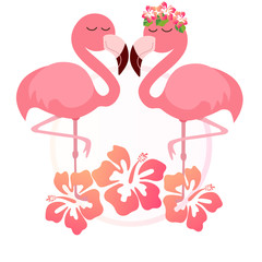 Pink cute pink flamingos vector illustration
