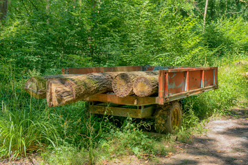 Traditional trailer with tree trunks