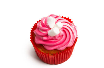 cupcake isolated
