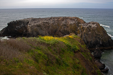 Fototapeta na wymiar Coastal landscape