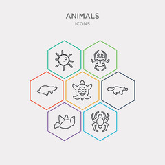 simple set of spider, dove, platypus, turtle icons, contains such as icons mole, beetle, sea urchin and more. 64x64 pixel perfect. infographics vector