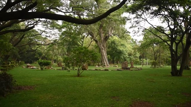 Sri Chamarajendra Park (Cubbon Park), Bangalore, Karnataka, India