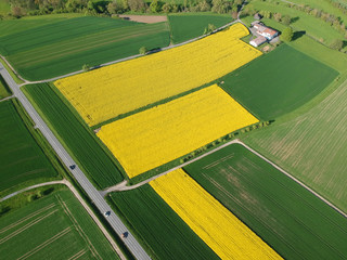 flight over some rape fields in south Germany near Herrenberg