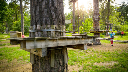Image of wooden bridges and platforms built on pine trees in park. Extreme rope adventure park for walking and climbing