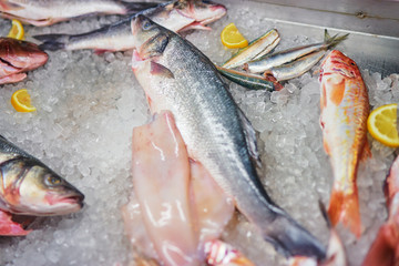 Top view of raw fish on the ice in restaurant.