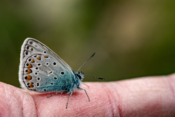 Nature