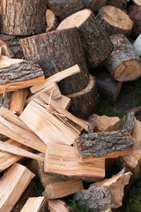 Stacked firewood ready for fall and winter