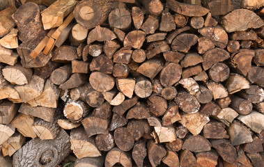 Stacked firewood ready for fall and winter