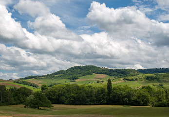 France, Jura, Arbois, vineyard landscape in the commune of Pupillin, famous terroir of the Jura wine