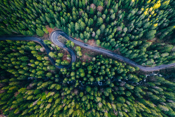 Drone view of winding forest road