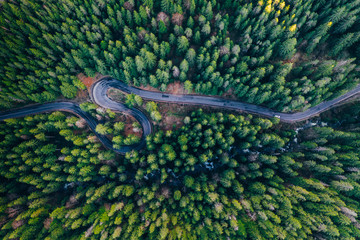 Drone view of winding forest road