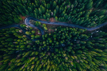 Drone view of winding forest road