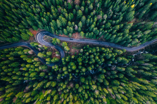 Drone View Of Winding Forest Road