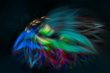 Fantasy colorful abstract illustration on black background. Digital art.