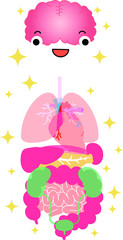 Fototapeta na wymiar Illustration of cute human organs 