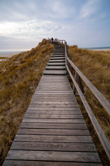 Obraz premium Wooden path with stairs or boardwalk leading through dunes to the top of a hill.