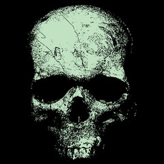  Vector image of a skull in an engraving style, a pragmatic sketch, bones, death, Halloween, horror, fear, anotomy, tattoo, shading,