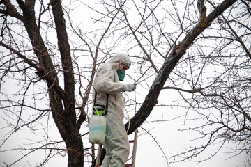 gardener trees covers pesticides