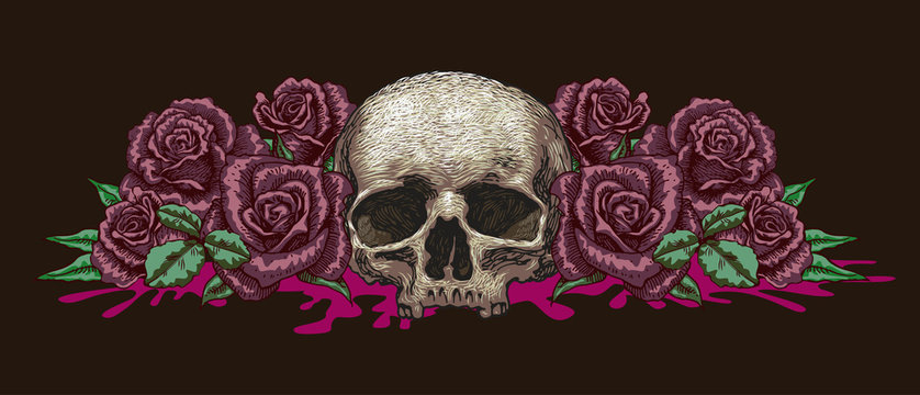 Fototapeta  vector image of a skull with roses sketch for tattoo guns ribbons with inscriptions blood and costeans graphics engraving