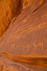 Grabados rupestres Nabatéos, Wadi Rum, Jordania, Oriente Medio