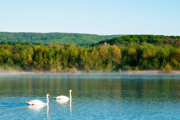 Blooming trees on a mountain lake in the open air against the background of the forest and mountains