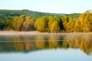 Blooming trees on a mountain lake in the open air against the background of the forest and mountains