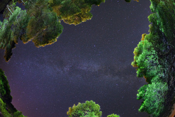 Fish eye lens on the Milky Way between the pines forest. San Domino Island. Tremiti archipelago. Apulia, Italy (this is a real image take whit one long exposure shot)