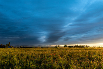 Obraz premium tile and orange naturale al tramonto