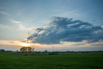 Big cloud in the sky above a green meadow