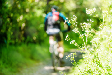 randonnée en vtt dans les chemins de campagne en été