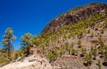 Gran Canaria, Pilancones Natural Park