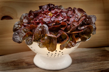 red leaf lettuce in a colander