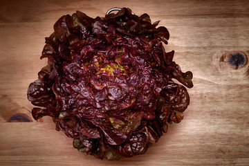 red leaf lettuce in a colander